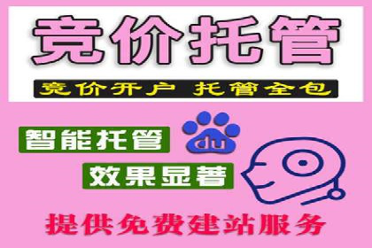 深度解析：竞价推广公司经典案例